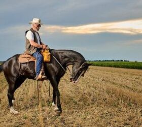 Best Horses for Western Riding