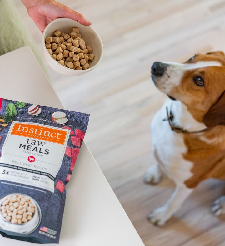 raw pet food myths