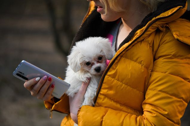 Is Your Favorite Pet App Leaking Your Personal Information?