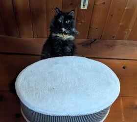 My cat Pippen perched on top of a cat condo (there is a hole to enter it beside her) watching the room