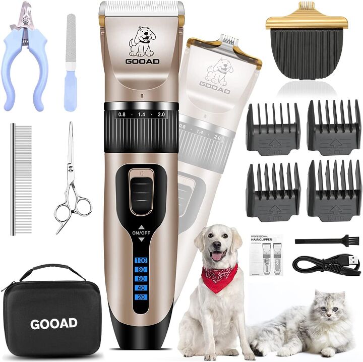 how often should a labradoodle be groomed