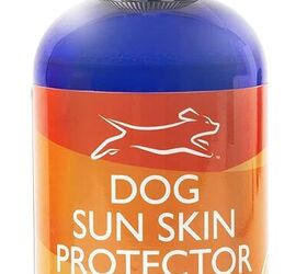 do dogs need sunscreen
