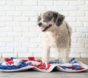 https://cdn-fastly.petguide.com/media/2023/08/01/02301/what-are-the-benefits-of-snuffle-mats-for-dogs.jpg?size=1200x628