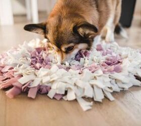How to Make Your Own Snuffle Ball - A Snufflemat Alternative - Tails We Win