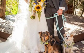 More Couples Want to Include Pets in Their Weddings