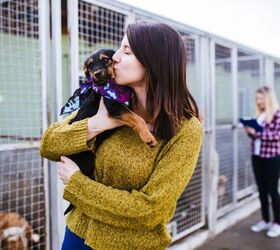 Washington Animal Shelter Sets a Historic Record for Most Pets Adopted