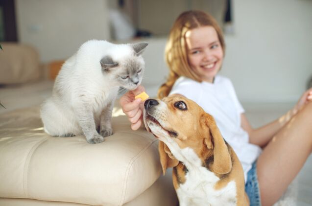 survey reveals the most common pet related myths pet parents believe, Photo credit Nina Buday Shutterstock com