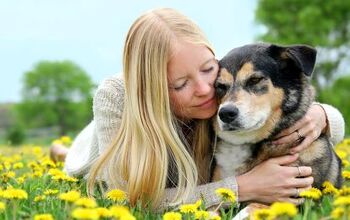 Research Reveals a Simple Way to Prolong Your Pet's Life
