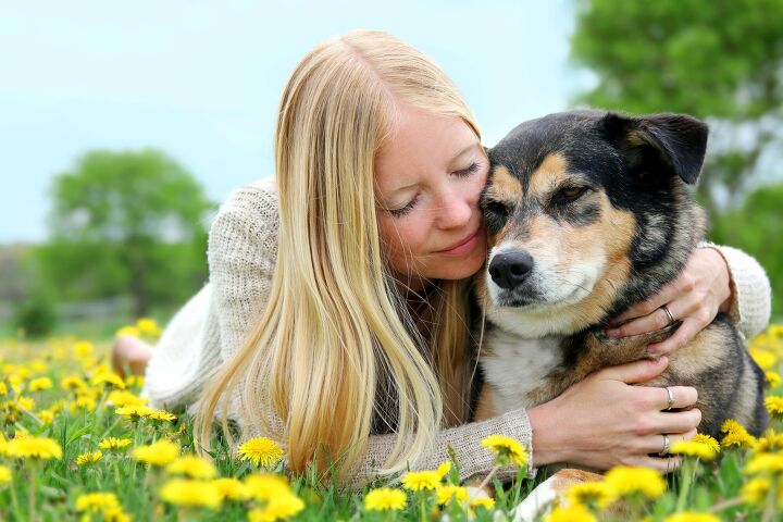 research reveals a simple way to prolong your pet s life, Christin Lola Shutterstock
