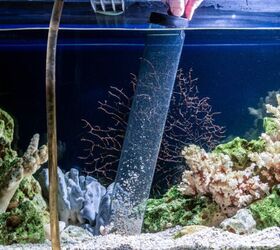What gravel do I need for my fish tank? - Help Guides