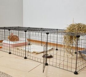 Homemade rabbit cage best sale