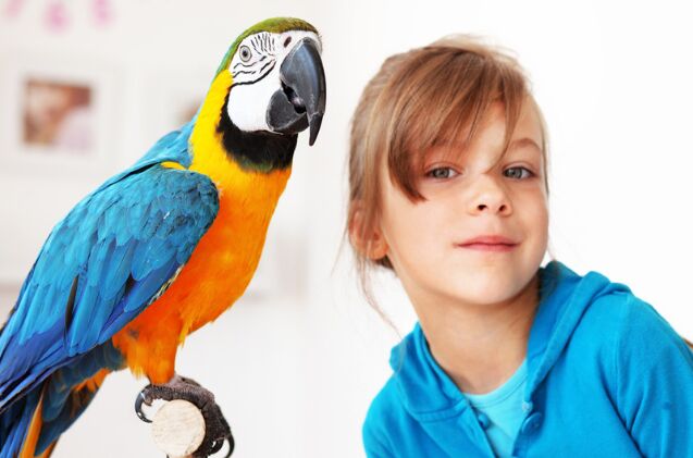 Do Birds Make a Good Pet for Children?