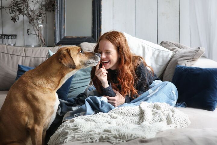 a womans best friend dogs more partial to female speech study sho, yamel photography Shutterstock