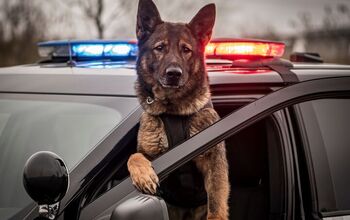 Supreme Court to Decide If K-9 Committed an Illegal Search