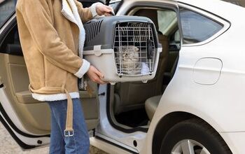 Royal Canin and Uber Pet Partner to Give Free Rides to Cat Owners