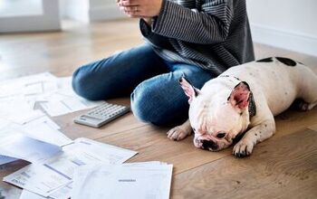 Here is Why Pet Insurance Costs Are at an All-Time High