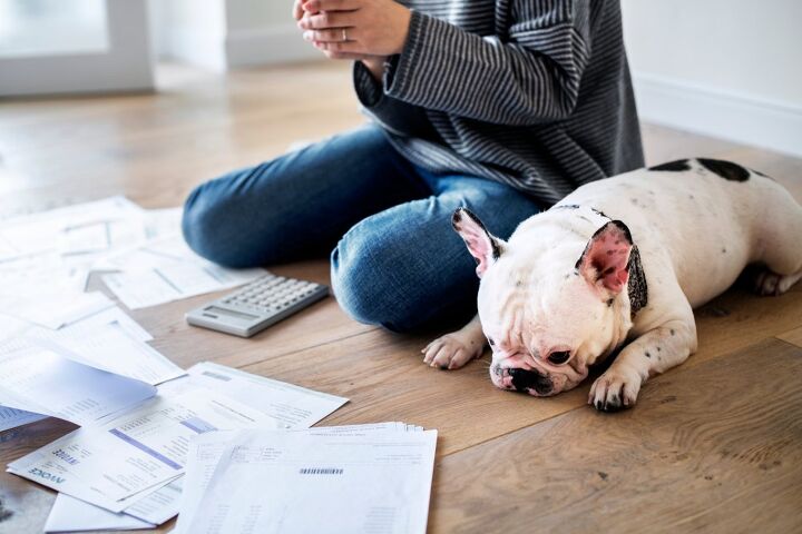 here is why pet insurance costs are at an all time high, RawPixel com Shutterstock