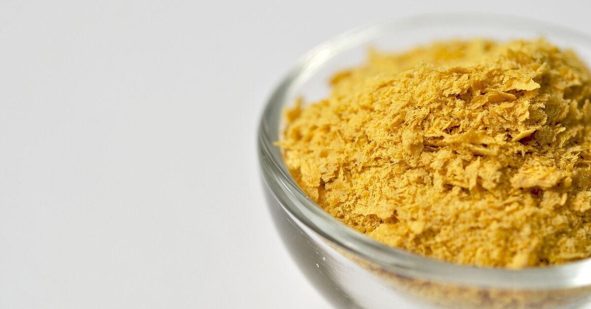 Can Cats And Dogs Eat Nutritional Yeast