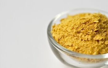 Can Cats and Dogs Eat Nutritional Yeast?