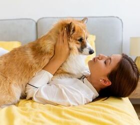 Wake Up! Your Morning Ritual Needs to Include Your Fur Kid