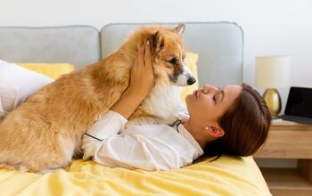 Wake Up! Your Morning Ritual Needs to Include Your Fur Kid