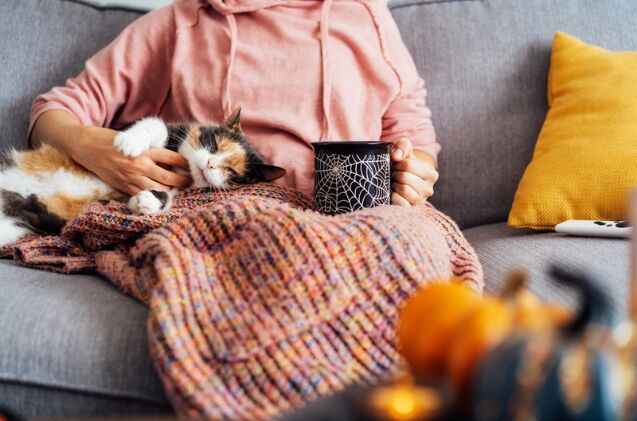 do cats slow down in autumn, Photo credit Okrasiuk Shutterstock com