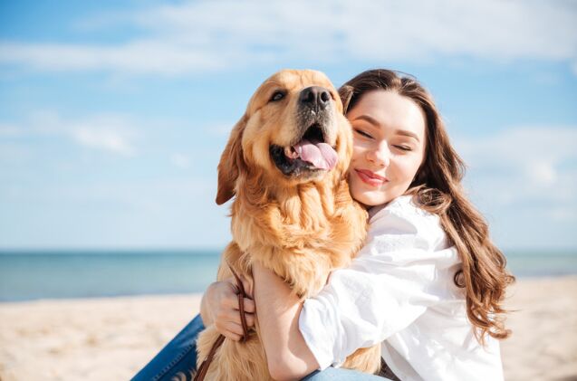 do you know your pet s love language, Photo credit Dean Drobot Shutterstock com