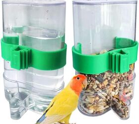 How Often Should I Clean My Bird s Cage PetGuide