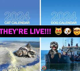 check out giant dogs on the free 2024 calendar of the portland usace, Portland District US Army Corps of Engineers Facebook
