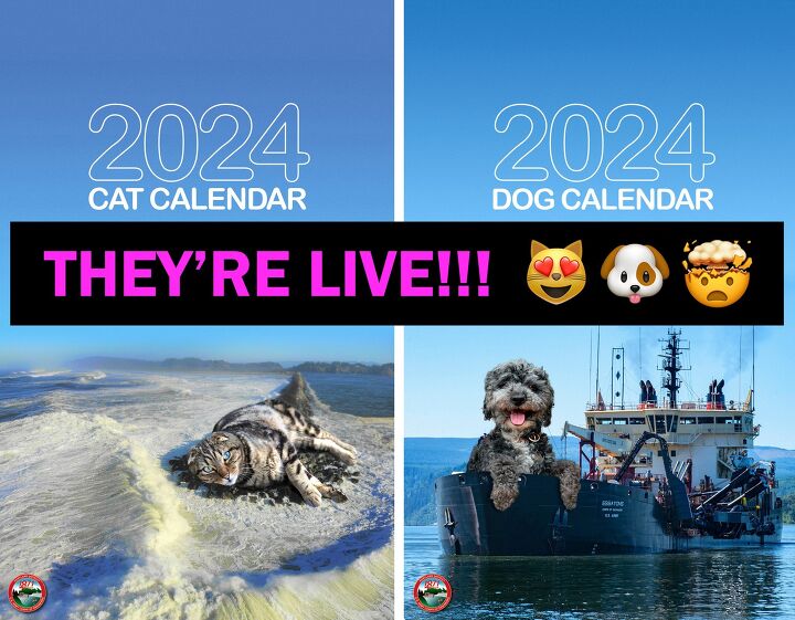 Check Out Giant Dogs On the Free 2024 Calendar of the Portland USACE