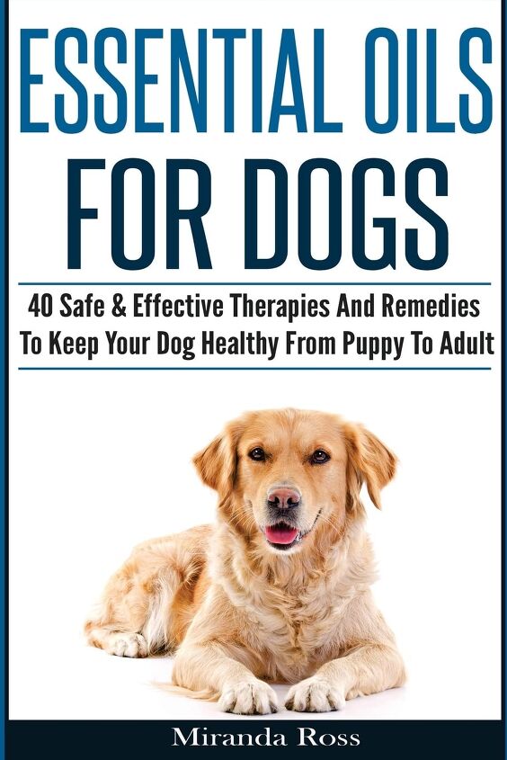 are essential oils safe for dogs