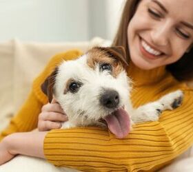 Study Finds Pets Didn't Make People Happier During the Pandemic