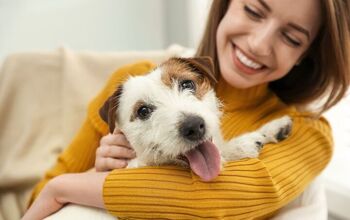Study Finds Pets Didn't Make People Happier During the Pandemic