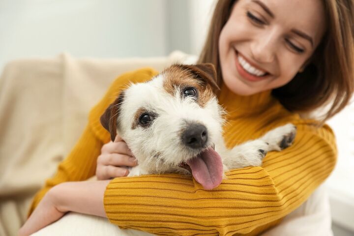 study finds pets didn t make people happier during the pandemic, New Africa Shutterstock