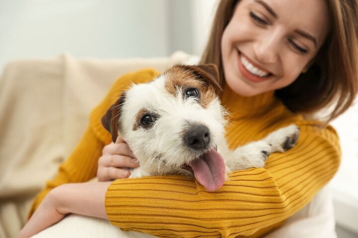 Study Finds Pets Didn't Make People Happier During the Pandemic