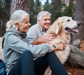 Latest Studies Find That Aging in Dogs Can Mirror Aging in Humans