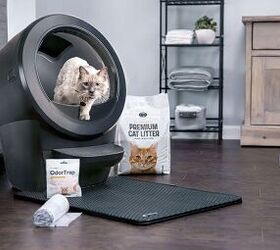 Never Scoop Again With Litter-Robot, The Purrfect Gift For Cat Lovers