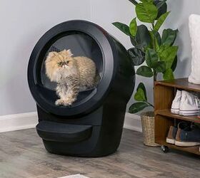 never scoop again with litter robot the purrfect gift for cat owners