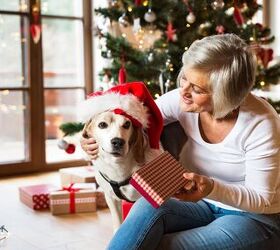 Holiday Gifts for Dogs to Include Them in the Fun