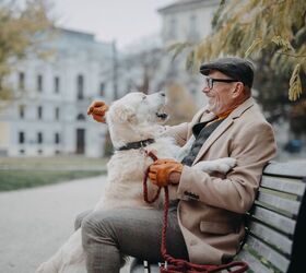 study finds that pet owners experience slower cognitive decline, Ground Picture Shutterstock