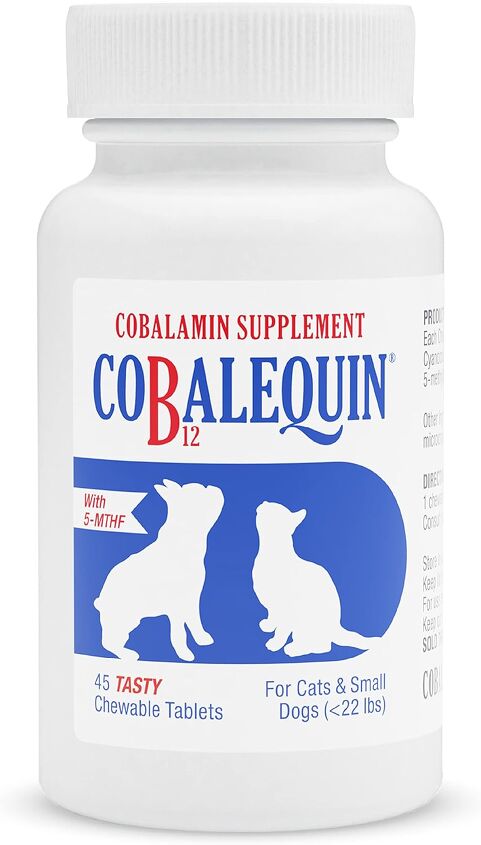 Vitamin B12 Deficiency in Cats: The Basics | PetGuide Vitamin B12 Deficiency in Cats: The Basics | PetGuide
