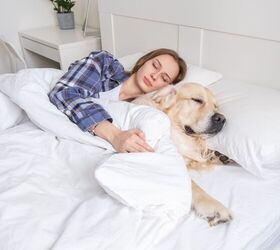 sleeping with pets here s what experts have to say, Kashaeva Irina Shutterstock