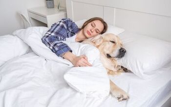 Sleeping With Pets: Here's What Experts Have to Say