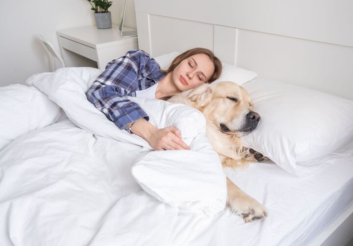 sleeping with pets here s what experts have to say, Kashaeva Irina Shutterstock