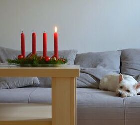 are candles safe for pets, Photo credit elabracho Shutterstock com