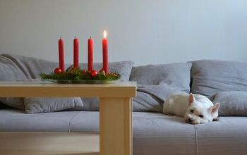 Are Candles Safe for Pets?