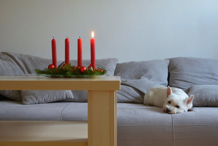 are candles safe for pets, Photo credit elabracho Shutterstock com