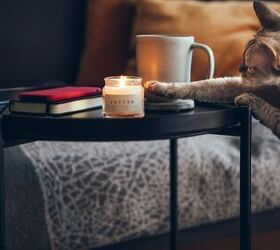are candles safe for pets, Photo credit Veera Shutterstock com