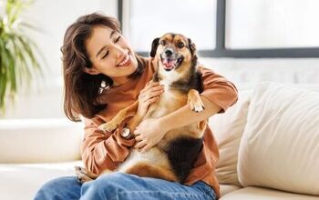 Study Reveals a Link Between Mental Health and an Attachment to Pets