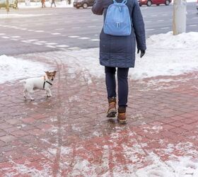 Is Rock Salt Toxic to Dogs?